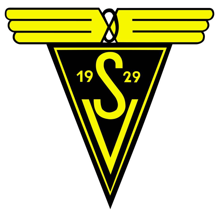 sv29-logo.jpg